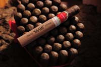 Cuba Aliados Miami Blend Robusto - Box of 20